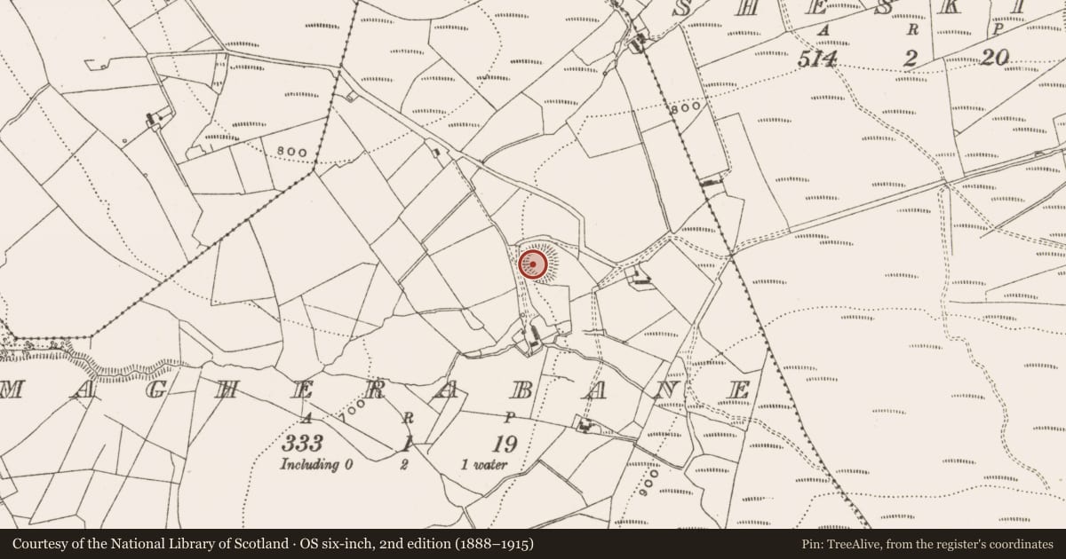 Ordnance Survey six-inch map, 2nd edition (1888–1915) covering the location of Ringfort - rath, Magherabane, County Offaly, with a pin at the register's coordinates