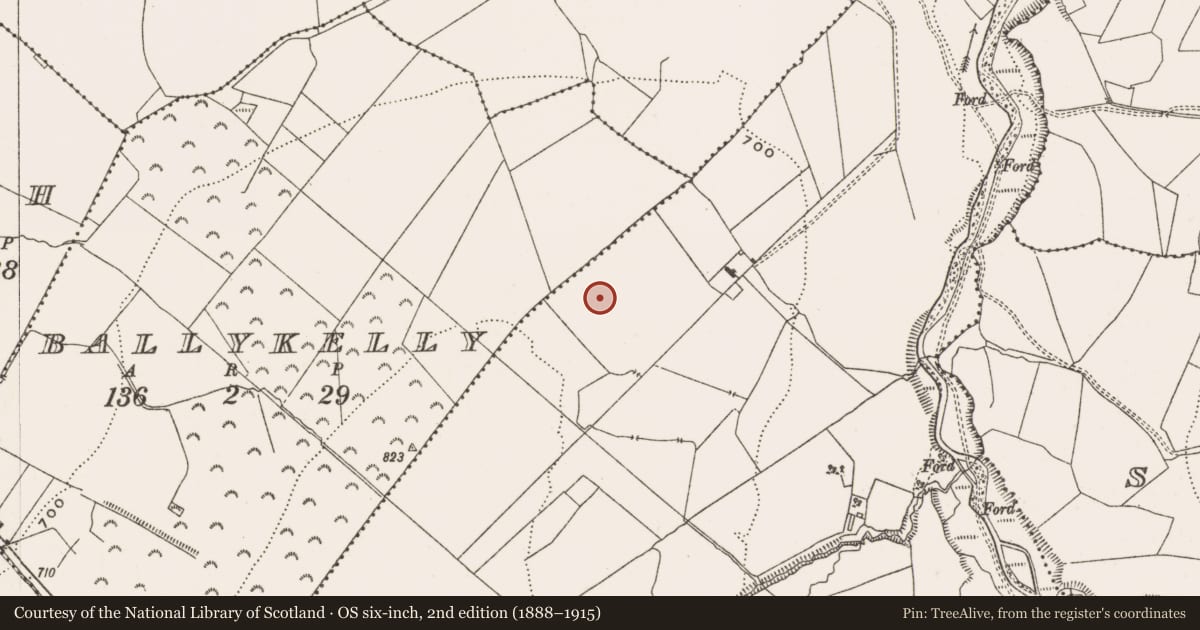 Ordnance Survey six-inch map, 2nd edition (1888–1915) covering the location of Barrow - ring-barrow, Coolcreen, County Offaly, with a pin at the register's coordinates