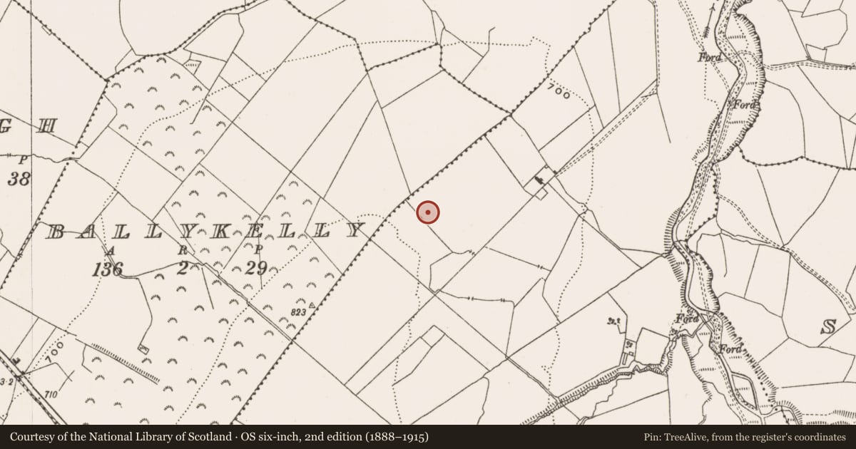 Ordnance Survey six-inch map, 2nd edition (1888–1915) covering the location of Barrow - mound barrow, Coolcreen, County Offaly, with a pin at the register's coordinates