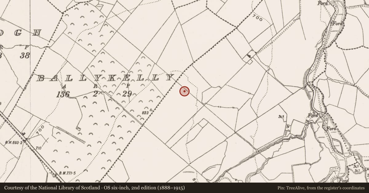 Ordnance Survey six-inch map, 2nd edition (1888–1915) covering the location of Barrow - unclassified, Coolcreen, County Offaly, with a pin at the register's coordinates