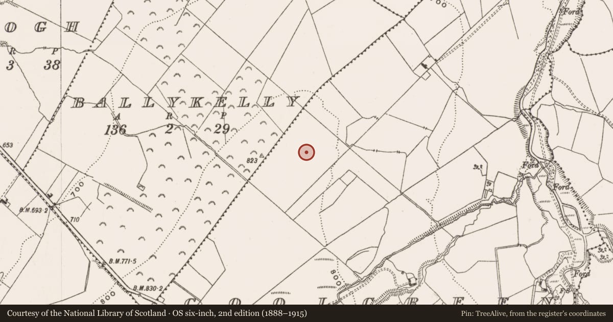 Ordnance Survey six-inch map, 2nd edition (1888–1915) covering the location of Barrow - bowl-barrow, Coolcreen, County Offaly, with a pin at the register's coordinates