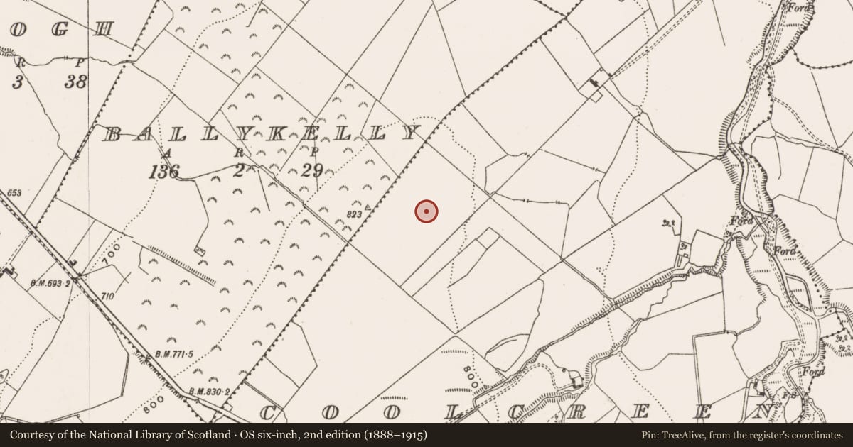 Ordnance Survey six-inch map, 2nd edition (1888–1915) covering the location of Barrow - pond barrow, Coolcreen, County Offaly, with a pin at the register's coordinates