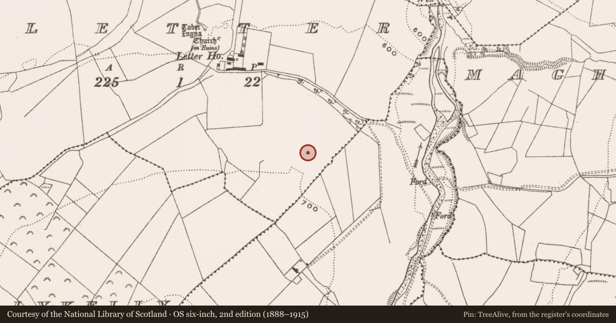 Ordnance Survey six-inch map, 2nd edition (1888–1915) covering the location of Burial mound, Letter, County Offaly, with a pin at the register's coordinates