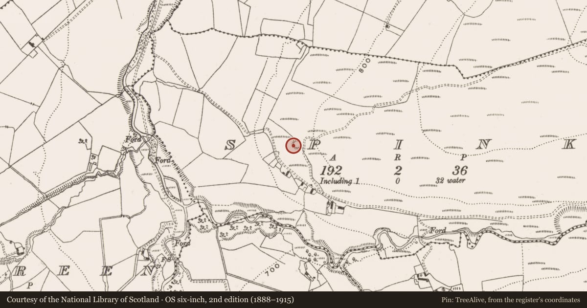 Ordnance Survey six-inch map, 2nd edition (1888–1915) covering the location of Enclosure, Spink, County Offaly, with a pin at the register's coordinates