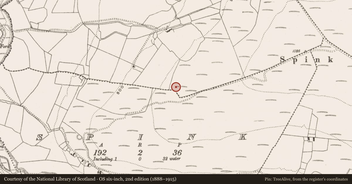 Ordnance Survey six-inch map, 2nd edition (1888–1915) covering the location of Mound, Magherabane, County Offaly, with a pin at the register's coordinates