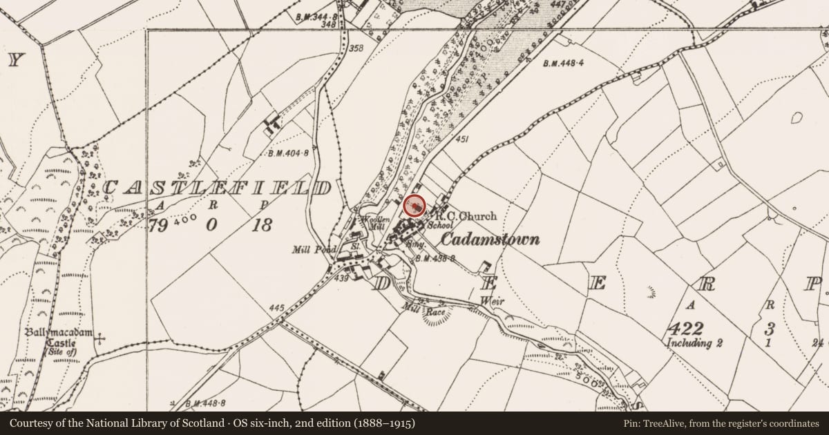 Ordnance Survey six-inch map, 2nd edition (1888–1915) covering the location of Stone head, Cadamstown, County Offaly, with a pin at the register's coordinates