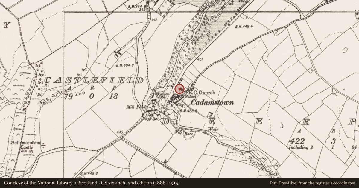 Ordnance Survey six-inch map, 2nd edition (1888–1915) covering the location of Cross-slab (present location), Cadamstown, County Offaly, with a pin at the register's coordinates