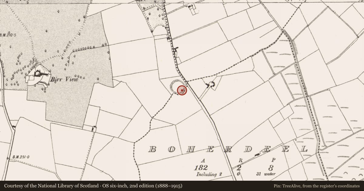 Ordnance Survey six-inch map, 2nd edition (1888–1915) covering the location of Ringfort - rath, Crinkill, County Offaly, with a pin at the register's coordinates