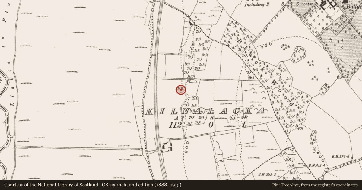 Ordnance Survey six-inch map, 2nd edition (1888–1915) covering the location of Earthwork, Kilnalacka, County Offaly, with a pin at the register's coordinates