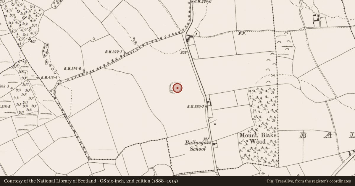 Ordnance Survey six-inch map, 2nd edition (1888–1915) covering the location of Souterrain, Ballyegan, County Offaly, with a pin at the register's coordinates
