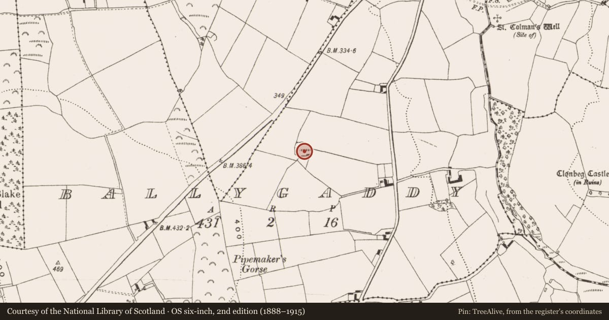 Ordnance Survey six-inch map, 2nd edition (1888–1915) covering the location of Ringfort - cashel, Ballygaddy, County Offaly, with a pin at the register's coordinates