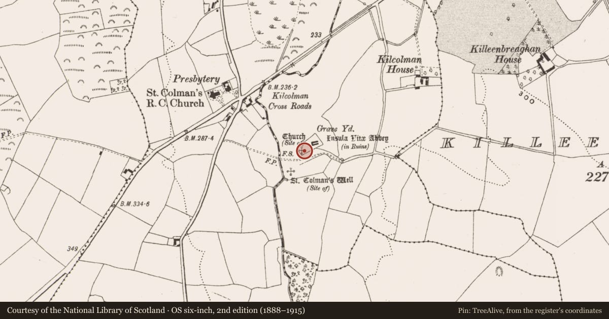 Ordnance Survey six-inch map, 2nd edition (1888–1915) covering the location of Church, Kilcolman, County Offaly, with a pin at the register's coordinates