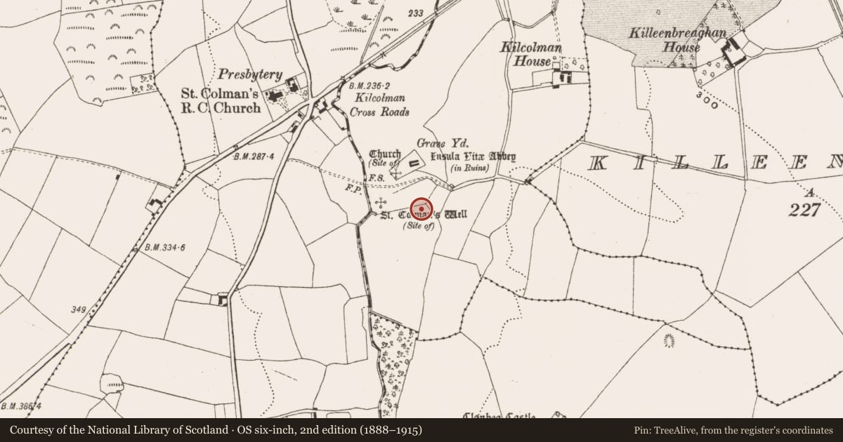 Ordnance Survey six-inch map, 2nd edition (1888–1915) covering the location of Ritual site - holy well, Kilcolman, County Offaly, with a pin at the register's coordinates