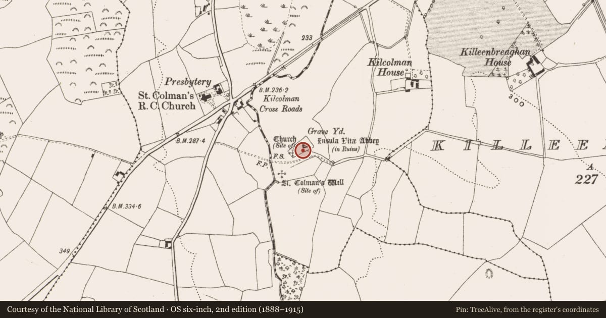 Ordnance Survey six-inch map, 2nd edition (1888–1915) covering the location of Graveyard, Kilcolman, County Offaly, with a pin at the register's coordinates