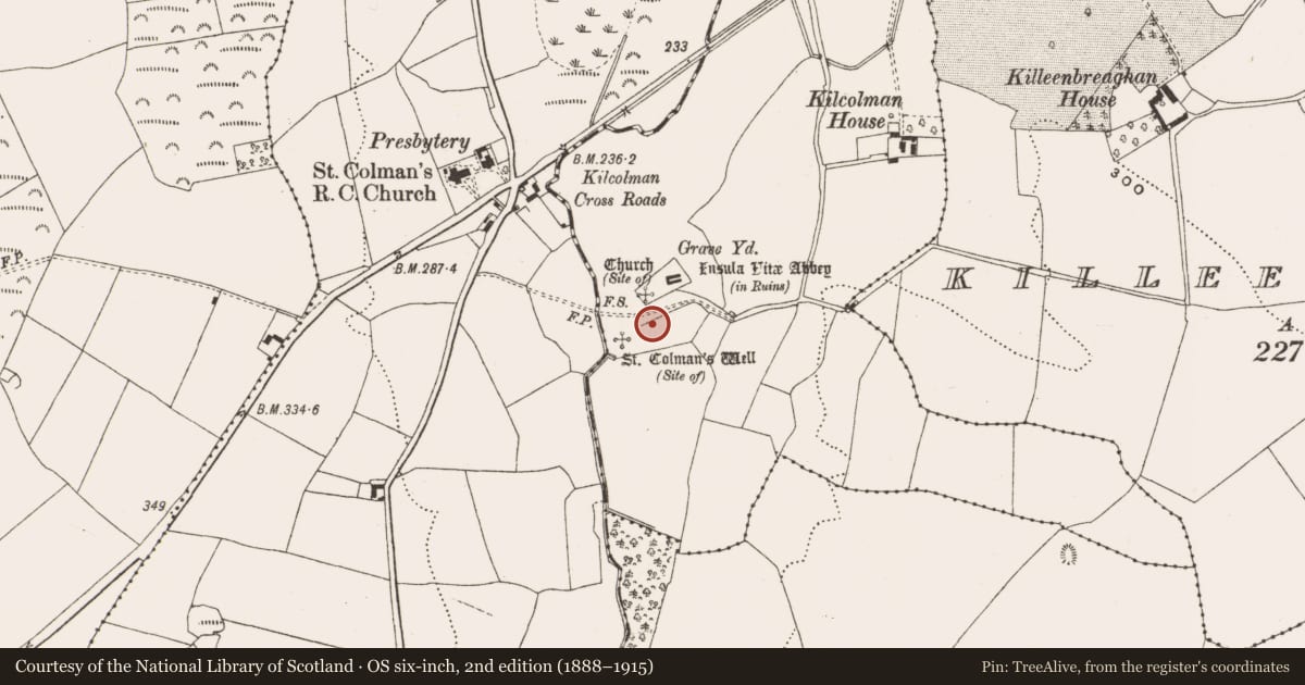 Ordnance Survey six-inch map, 2nd edition (1888–1915) covering the location of Bullaun stone, Kilcolman, County Offaly, with a pin at the register's coordinates
