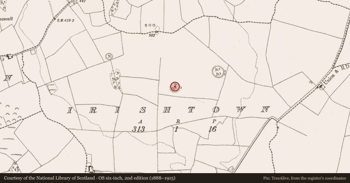 Ordnance Survey six-inch map, 2nd edition (1888–1915) covering the location of Enclosure, Irishtown, County Offaly, with a pin at the register's coordinates