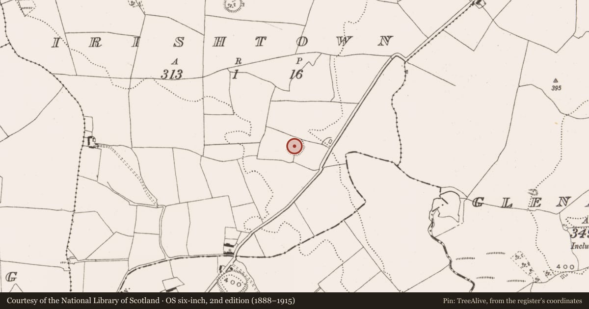 Ordnance Survey six-inch map, 2nd edition (1888–1915) covering the location of Enclosure, Irishtown, County Offaly, with a pin at the register's coordinates