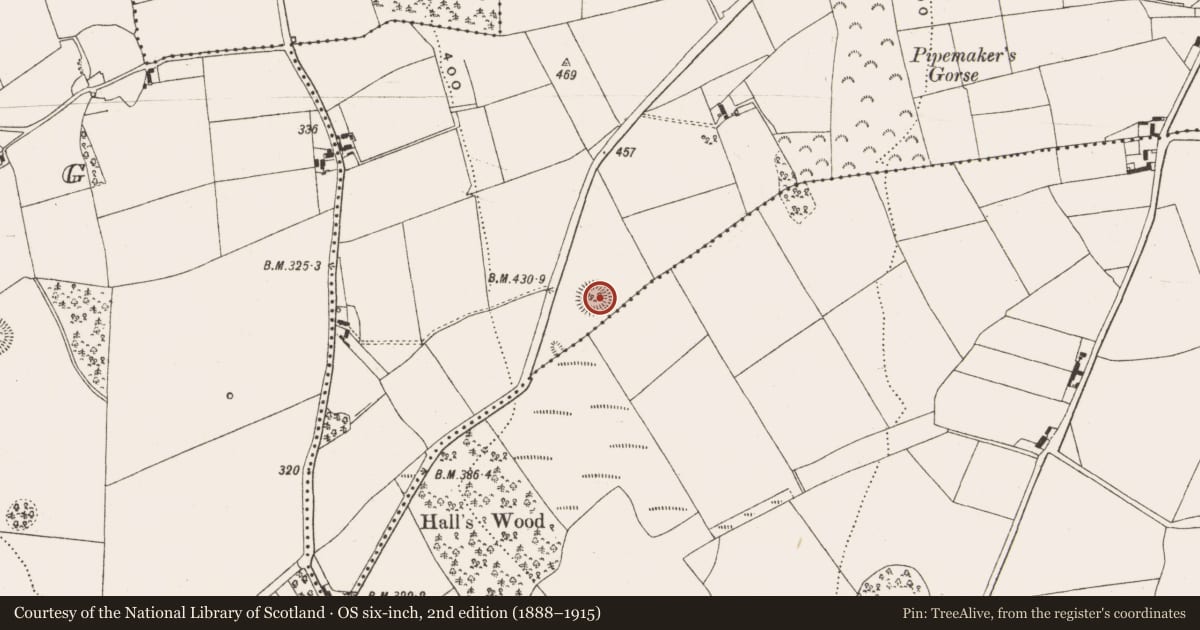 Ordnance Survey six-inch map, 2nd edition (1888–1915) covering the location of Ringfort - unclassified, Ballygaddy, County Offaly, with a pin at the register's coordinates