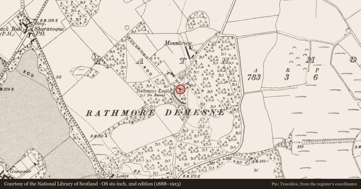 Ordnance Survey six-inch map, 2nd edition (1888–1915) covering the location of Castle - tower house, Rath More, County Offaly, with a pin at the register's coordinates