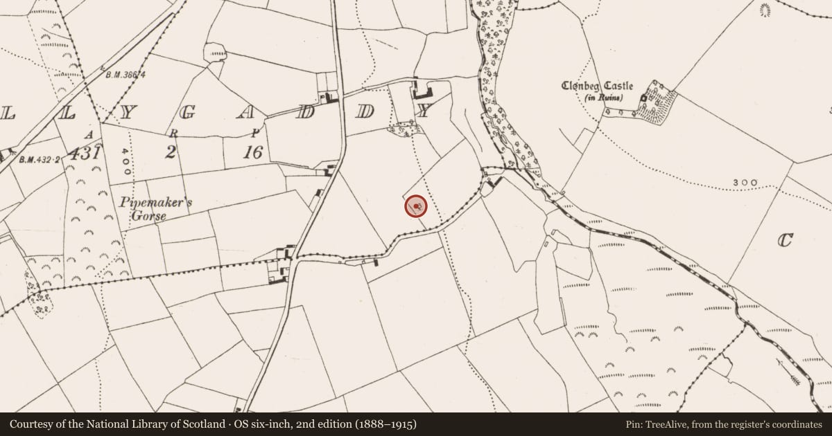 Ordnance Survey six-inch map, 2nd edition (1888–1915) covering the location of Cairn - unclassified, Ballygaddy, County Offaly, with a pin at the register's coordinates