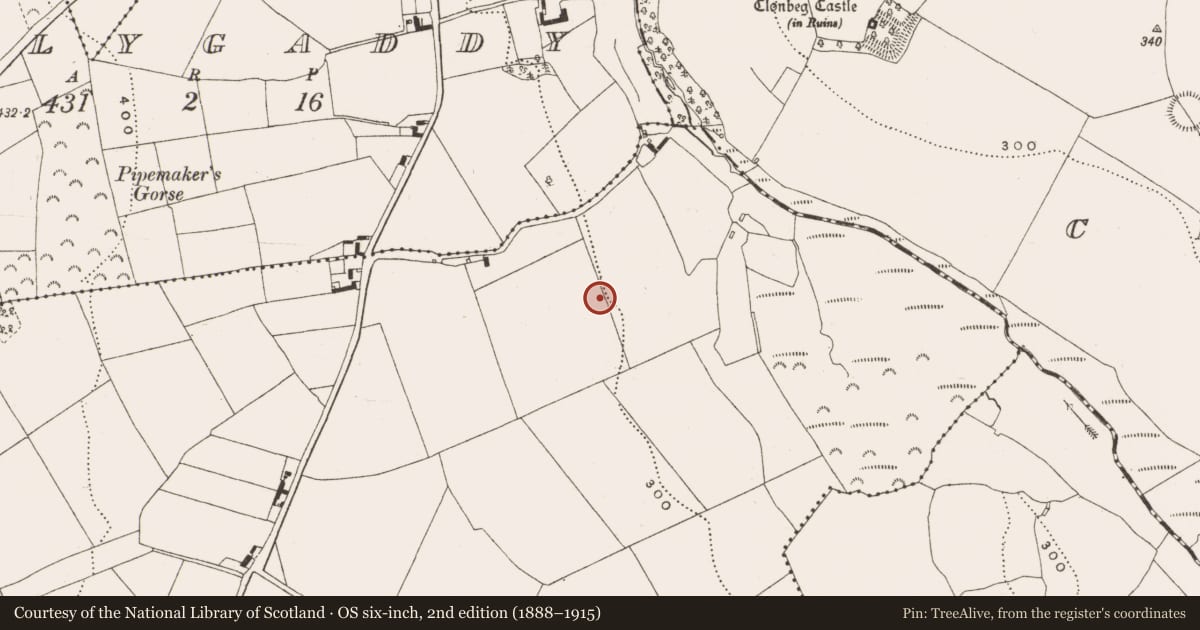 Ordnance Survey six-inch map, 2nd edition (1888–1915) covering the location of Enclosure, Rath More, County Offaly, with a pin at the register's coordinates
