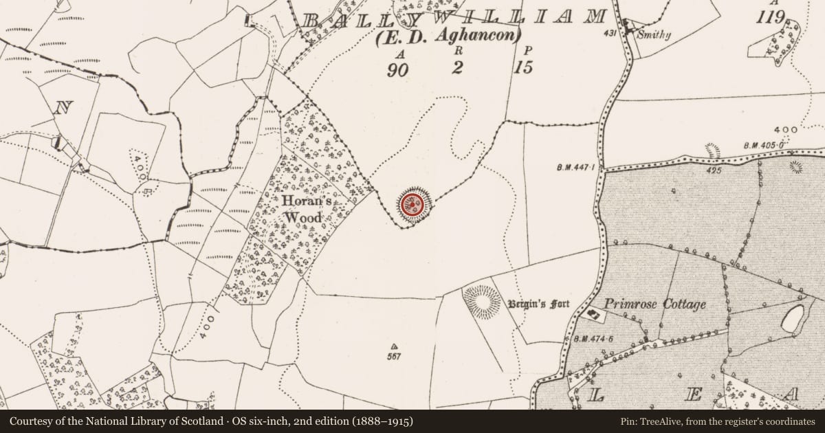 Ordnance Survey six-inch map, 2nd edition (1888–1915) covering the location of Ringfort - rath, Ballywilliam, County Offaly, with a pin at the register's coordinates