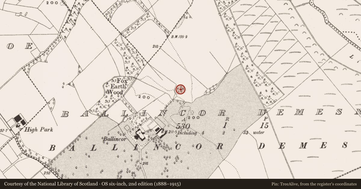 Ordnance Survey six-inch map, 2nd edition (1888–1915) covering the location of Ringfort - rath, Ballincor Demesne, County Offaly, with a pin at the register's coordinates