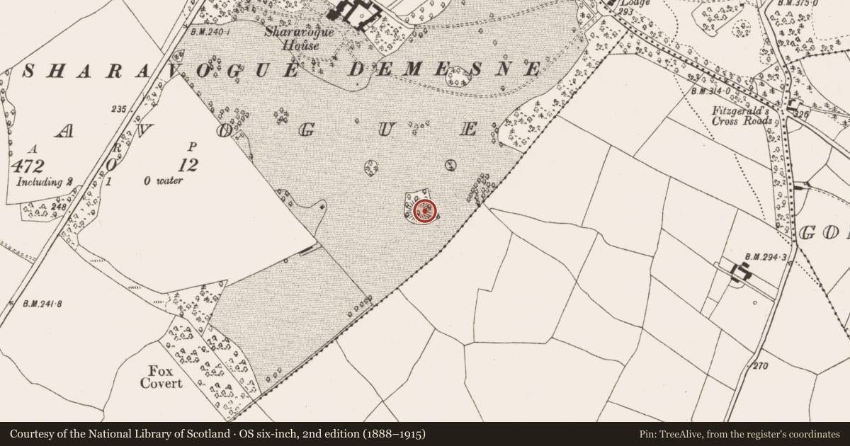 Ordnance Survey six-inch map, 2nd edition (1888–1915) covering the location of Enclosure, Sharavogue, County Offaly, with a pin at the register's coordinates