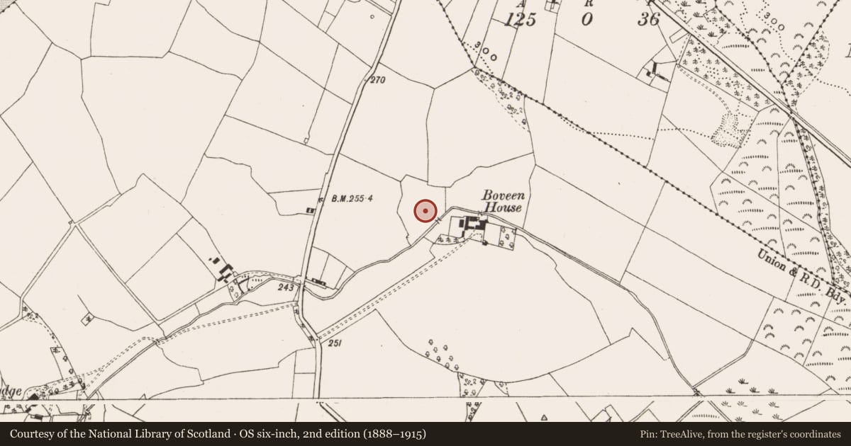 Ordnance Survey six-inch map, 2nd edition (1888–1915) covering the location of Barrow - ring-barrow, Boveen, County Offaly, with a pin at the register's coordinates