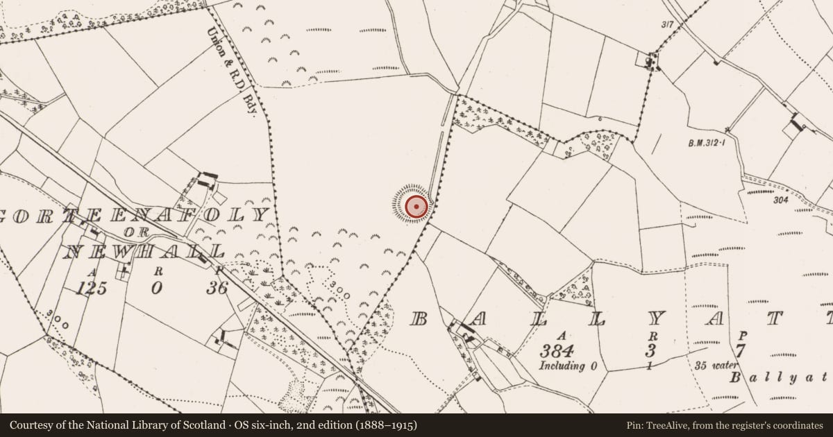 Ordnance Survey six-inch map, 2nd edition (1888–1915) covering the location of Ringfort - rath, Rath More, County Offaly, with a pin at the register's coordinates