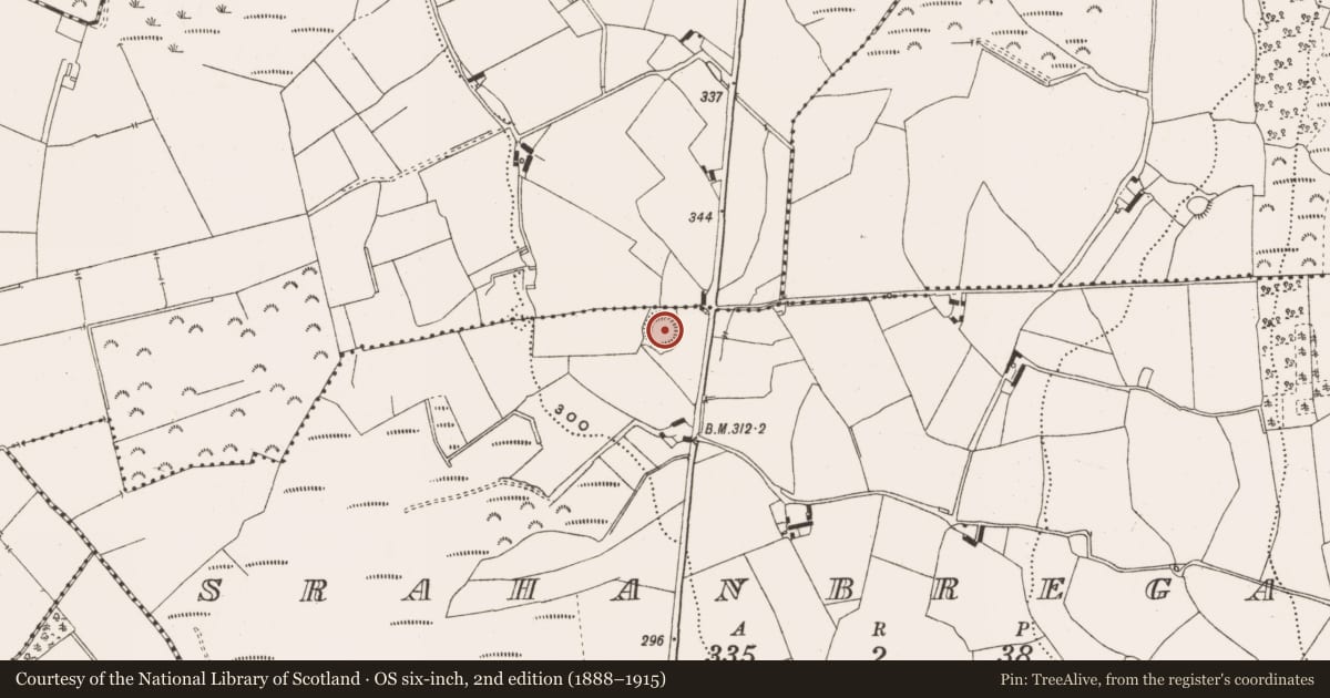 Ordnance Survey six-inch map, 2nd edition (1888–1915) covering the location of Ringfort - rath, Srahanbregagh, County Offaly, with a pin at the register's coordinates
