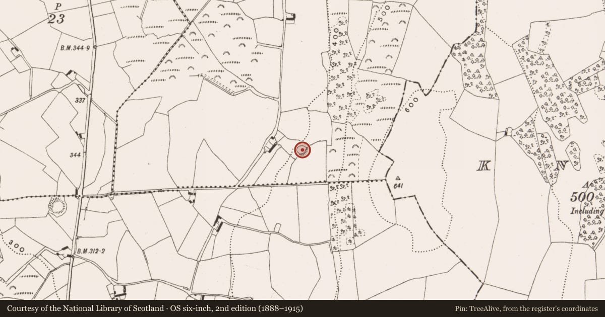 Ordnance Survey six-inch map, 2nd edition (1888–1915) covering the location of Ringfort - rath, Cloghan, County Offaly, with a pin at the register's coordinates