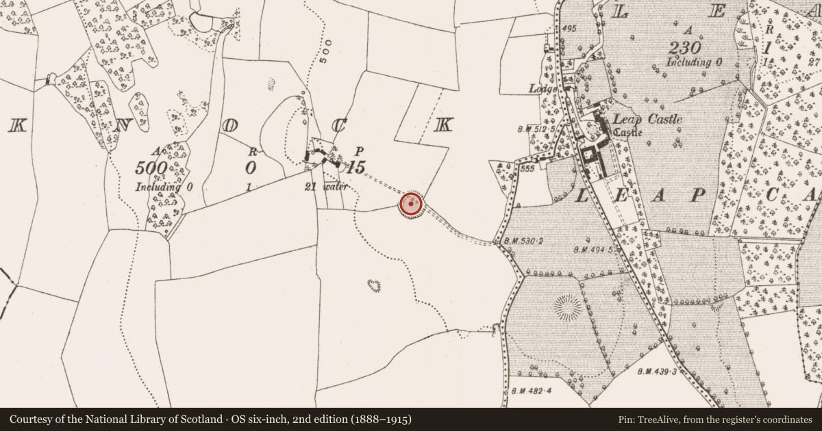 Ordnance Survey six-inch map, 2nd edition (1888–1915) covering the location of Enclosure, Knock, County Offaly, with a pin at the register's coordinates
