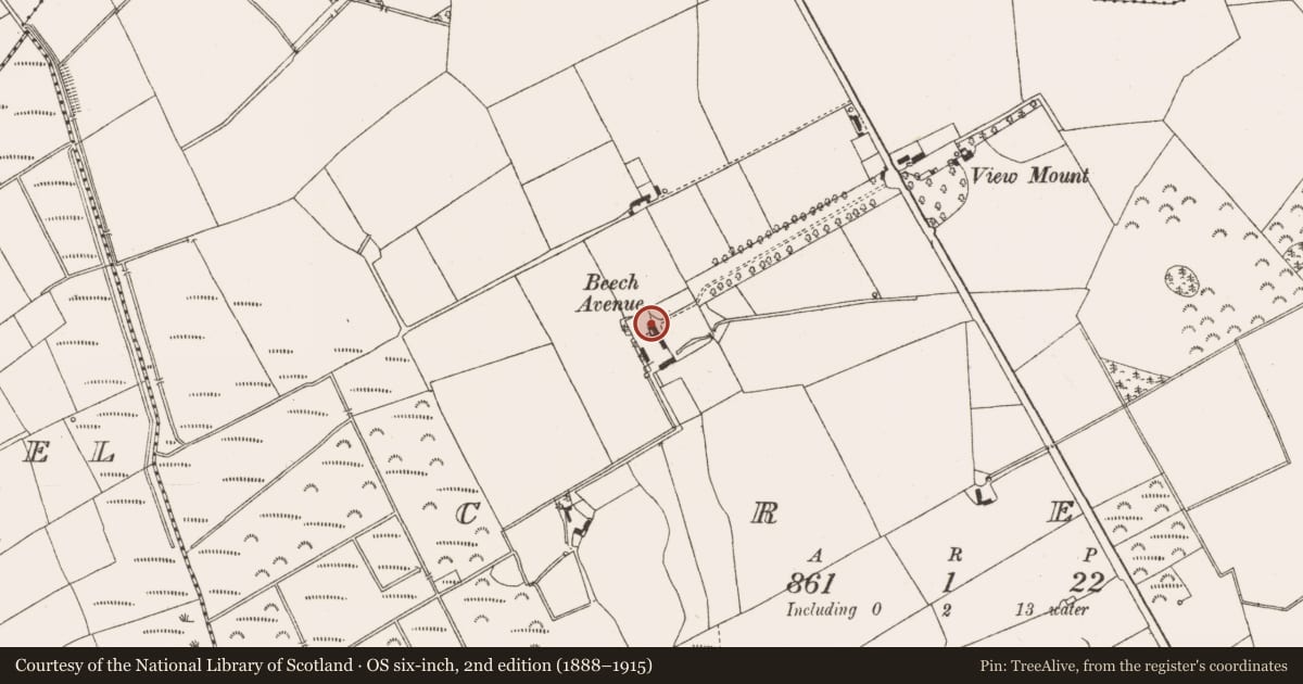 Ordnance Survey six-inch map, 2nd edition (1888–1915) covering the location of House - fortified house, Cree, County Offaly, with a pin at the register's coordinates