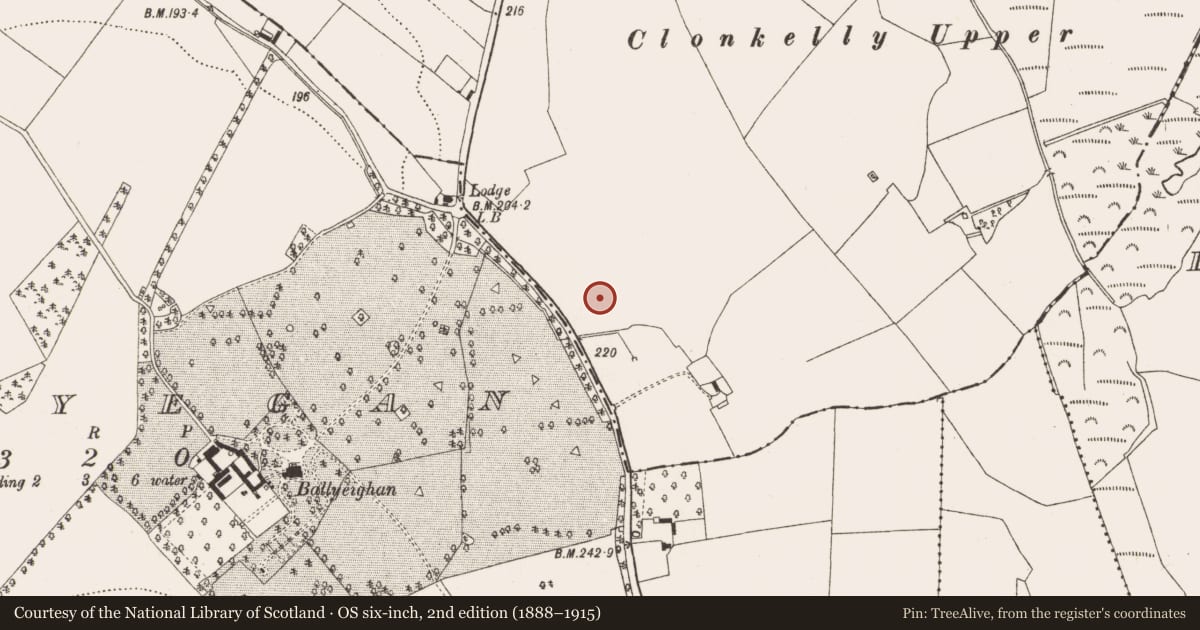 Ordnance Survey six-inch map, 2nd edition (1888–1915) covering the location of Fulacht fia, Clonkelly, County Offaly, with a pin at the register's coordinates