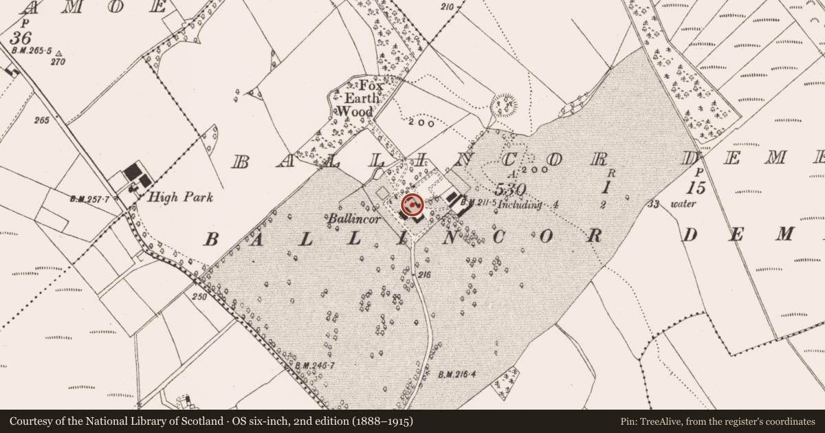 Ordnance Survey six-inch map, 2nd edition (1888–1915) covering the location of House - 18th/19th century, Ballincor Demesne, County Offaly, with a pin at the register's coordinates