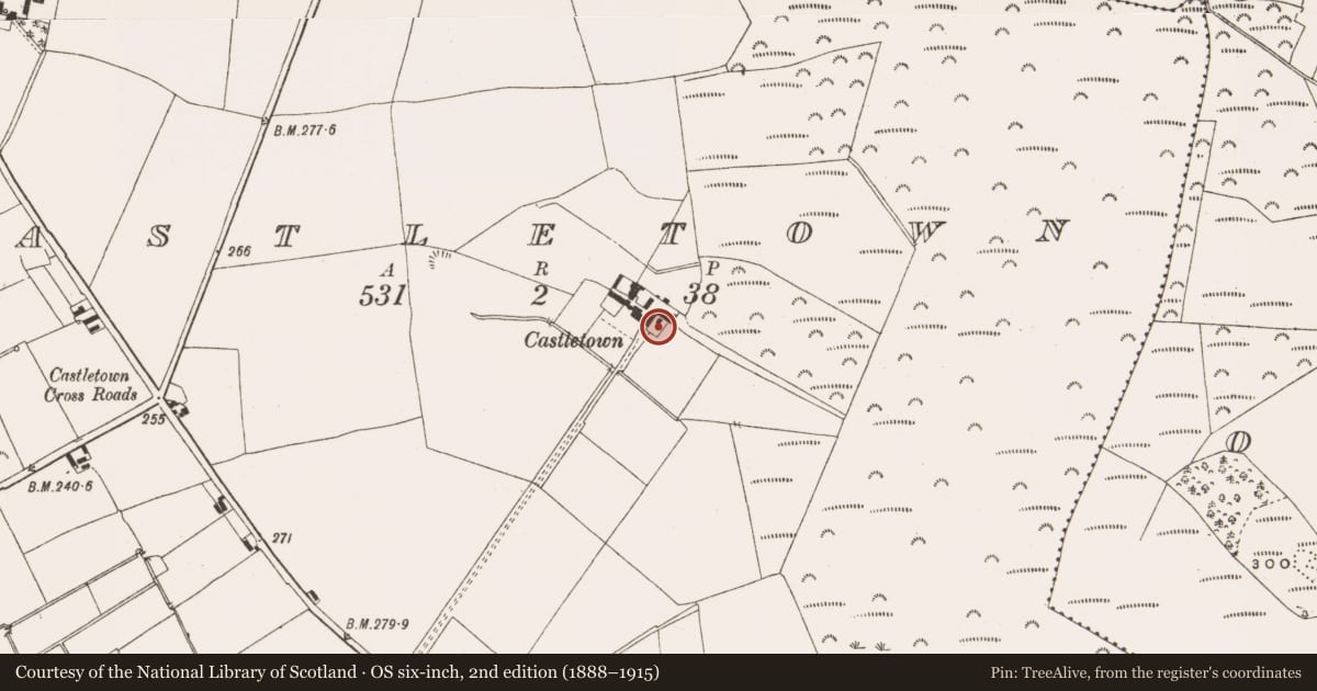 Ordnance Survey six-inch map, 2nd edition (1888–1915) covering the location of Castle - unclassified, Castletown, County Offaly, with a pin at the register's coordinates
