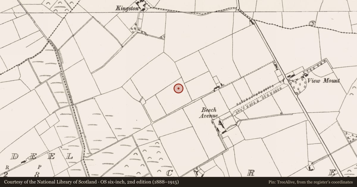 Ordnance Survey six-inch map, 2nd edition (1888–1915) covering the location of Ringfort - unclassified, Cree, County Offaly, with a pin at the register's coordinates