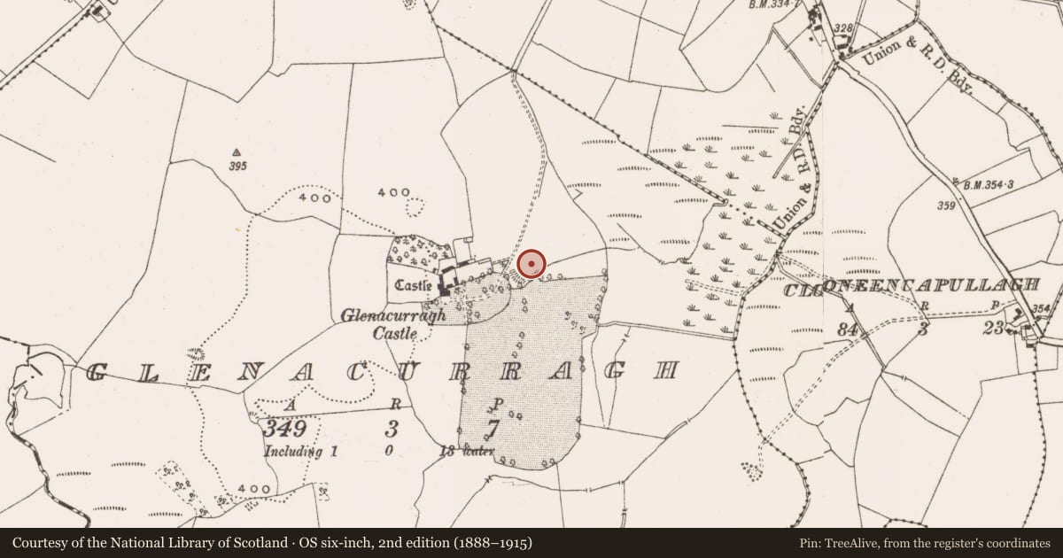 Ordnance Survey six-inch map, 2nd edition (1888–1915) covering the location of Ringfort - rath, Glenacurragh, County Offaly, with a pin at the register's coordinates
