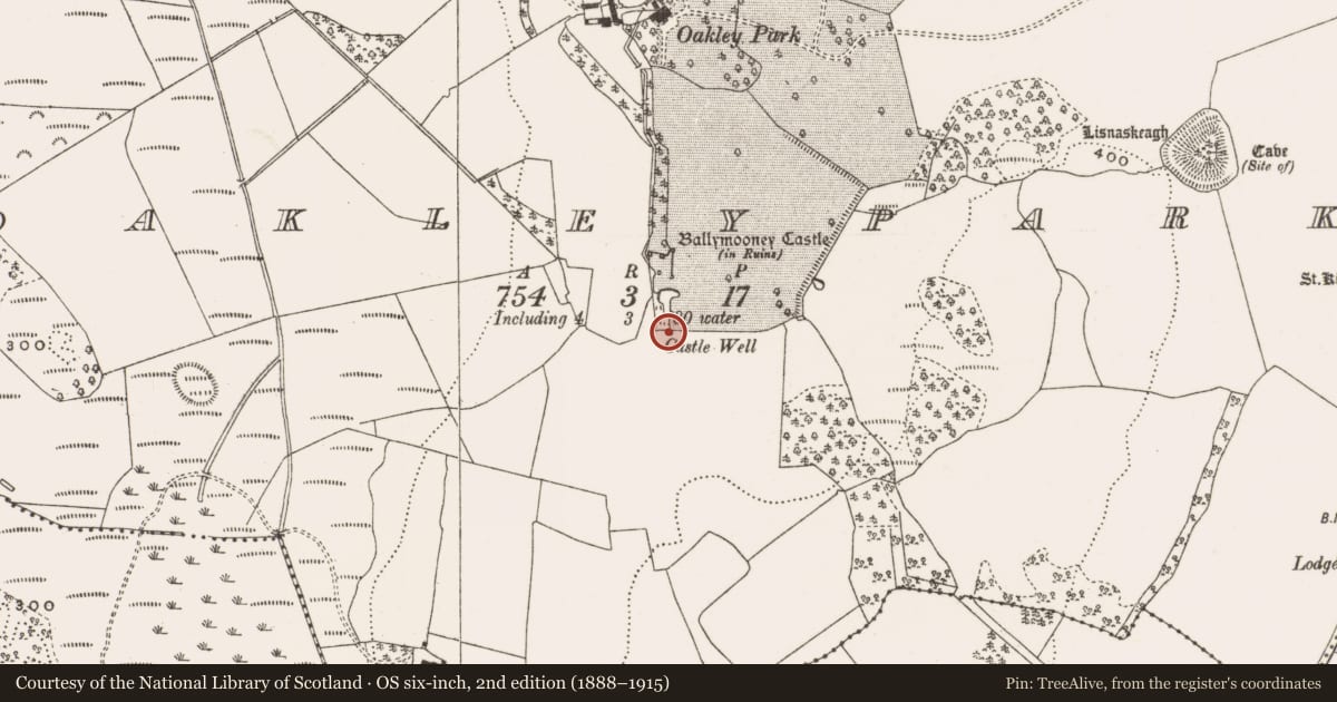 Ordnance Survey six-inch map, 2nd edition (1888–1915) covering the location of Well, Oakleypark, County Offaly, with a pin at the register's coordinates