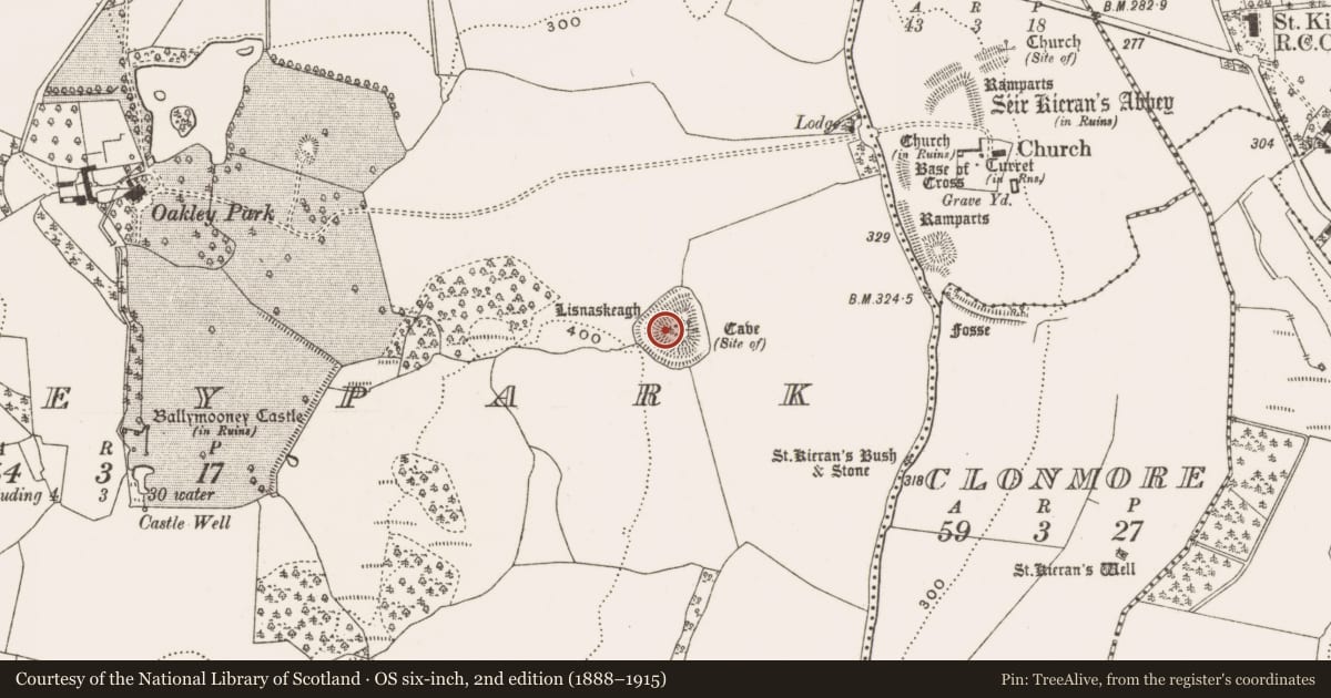 Ordnance Survey six-inch map, 2nd edition (1888–1915) covering the location of Ringfort - rath, Oakleypark, County Offaly, with a pin at the register's coordinates
