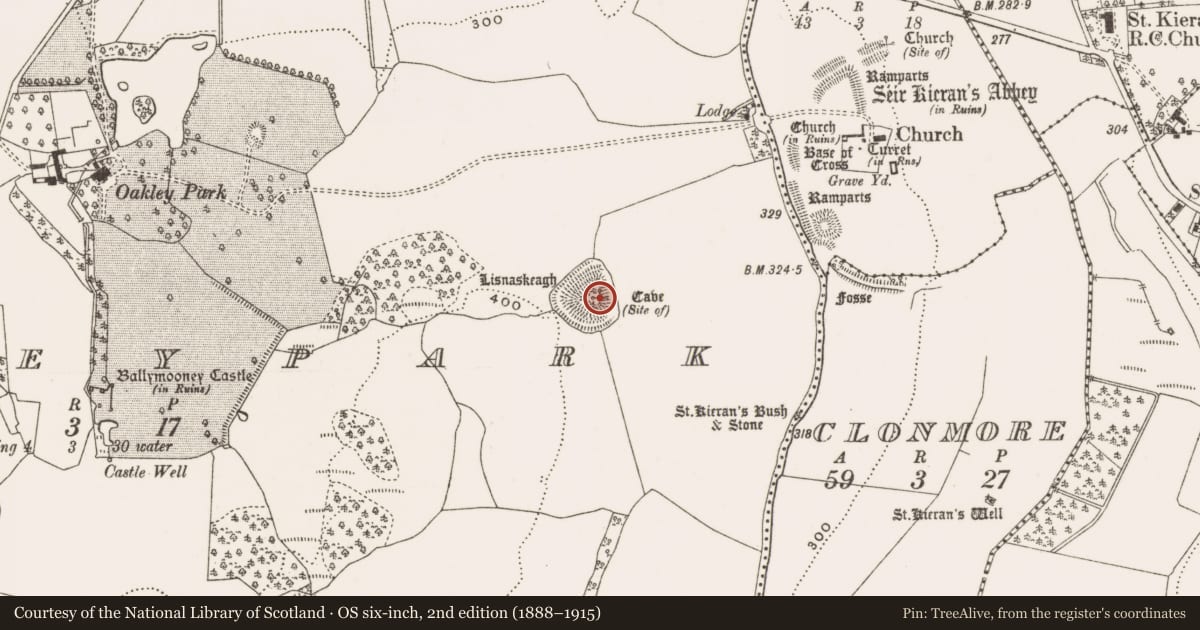 Ordnance Survey six-inch map, 2nd edition (1888–1915) covering the location of Souterrain, Oakleypark, County Offaly, with a pin at the register's coordinates