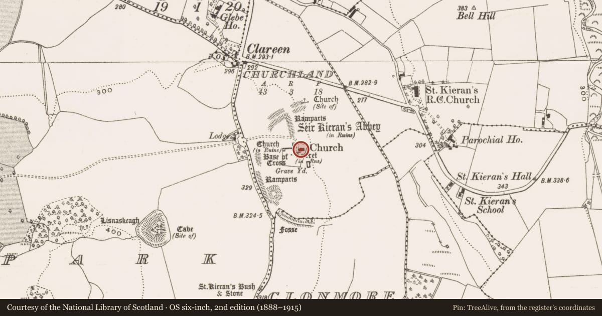 Ordnance Survey six-inch map, 2nd edition (1888–1915) covering the location of Settlement deserted - medieval, County Offaly, with a pin at the register's coordinates