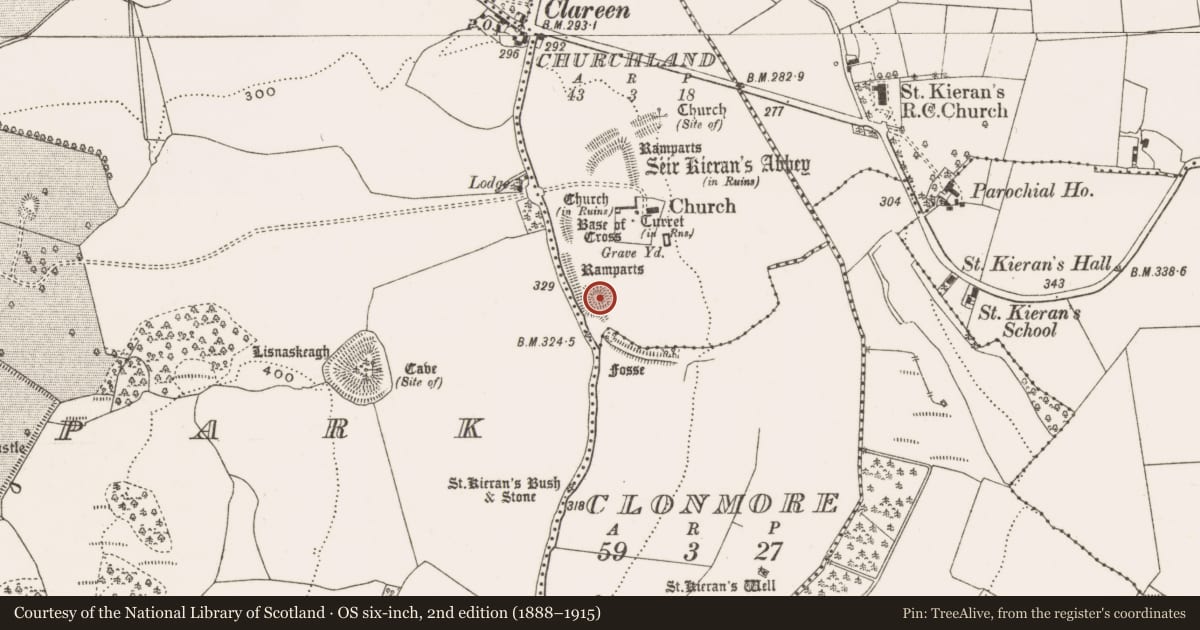 Ordnance Survey six-inch map, 2nd edition (1888–1915) covering the location of Castle - motte, Churchland, County Offaly, with a pin at the register's coordinates