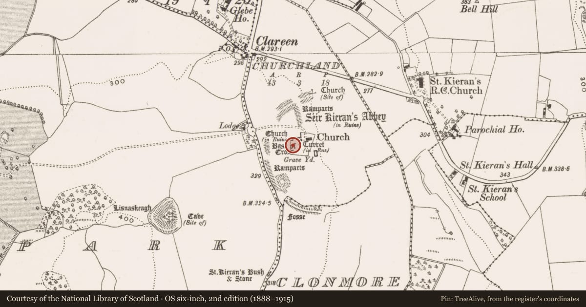 Ordnance Survey six-inch map, 2nd edition (1888–1915) covering the location of Headstone, Churchland, County Offaly, with a pin at the register's coordinates