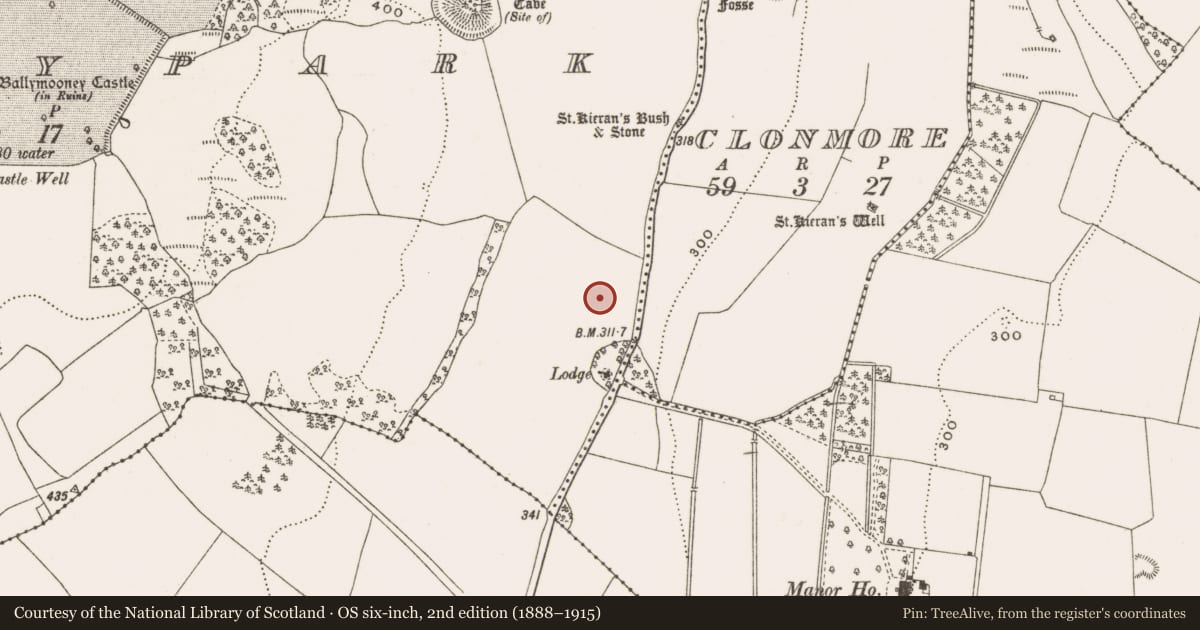 Ordnance Survey six-inch map, 2nd edition (1888–1915) covering the location of Standing stone, Oakleypark, County Offaly, with a pin at the register's coordinates