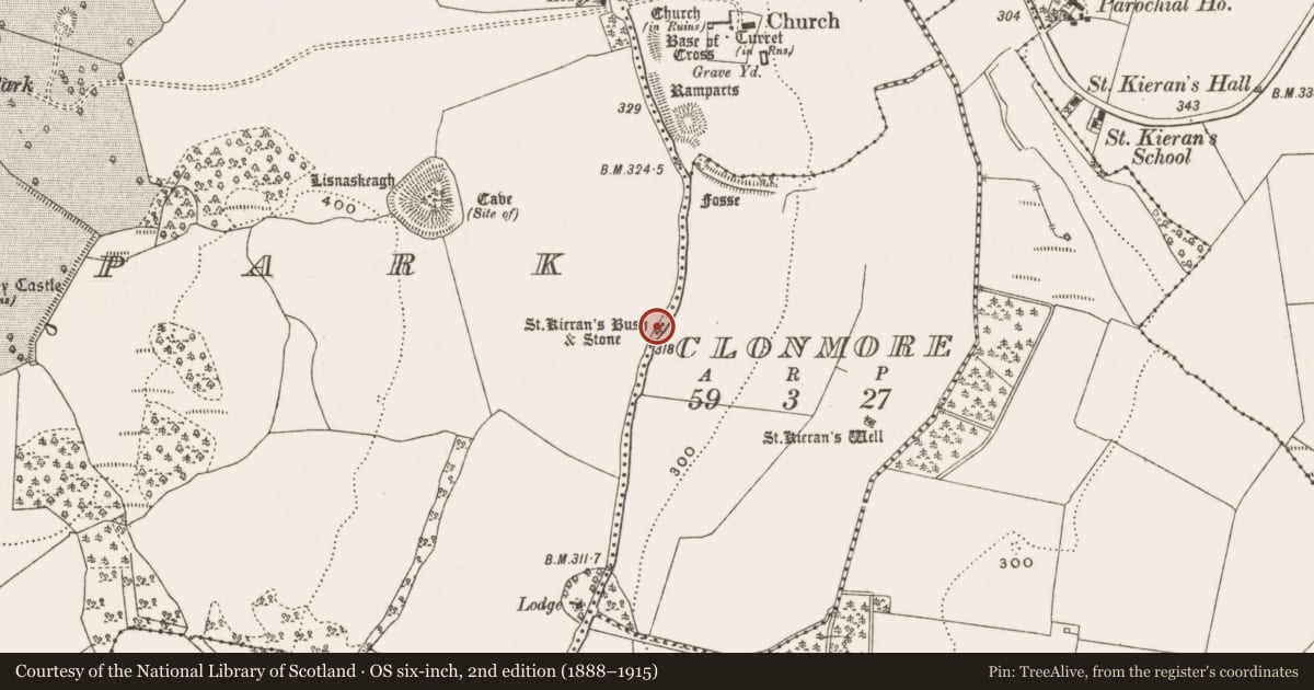 Ordnance Survey six-inch map, 2nd edition (1888–1915) covering the location of Ritual site - holy/saint's stone, Clonmore, Oakleypark, County Offaly, with a pin at the register's coordinates
