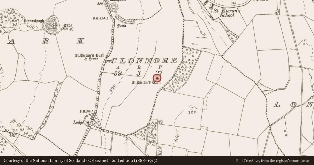 Ordnance Survey six-inch map, 2nd edition (1888–1915) covering the location of Ritual site - holy well, Clonmore, County Offaly, with a pin at the register's coordinates