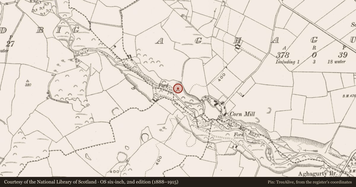 Ordnance Survey six-inch map, 2nd edition (1888–1915) covering the location of Standing stone, Aghagurty, County Offaly, with a pin at the register's coordinates