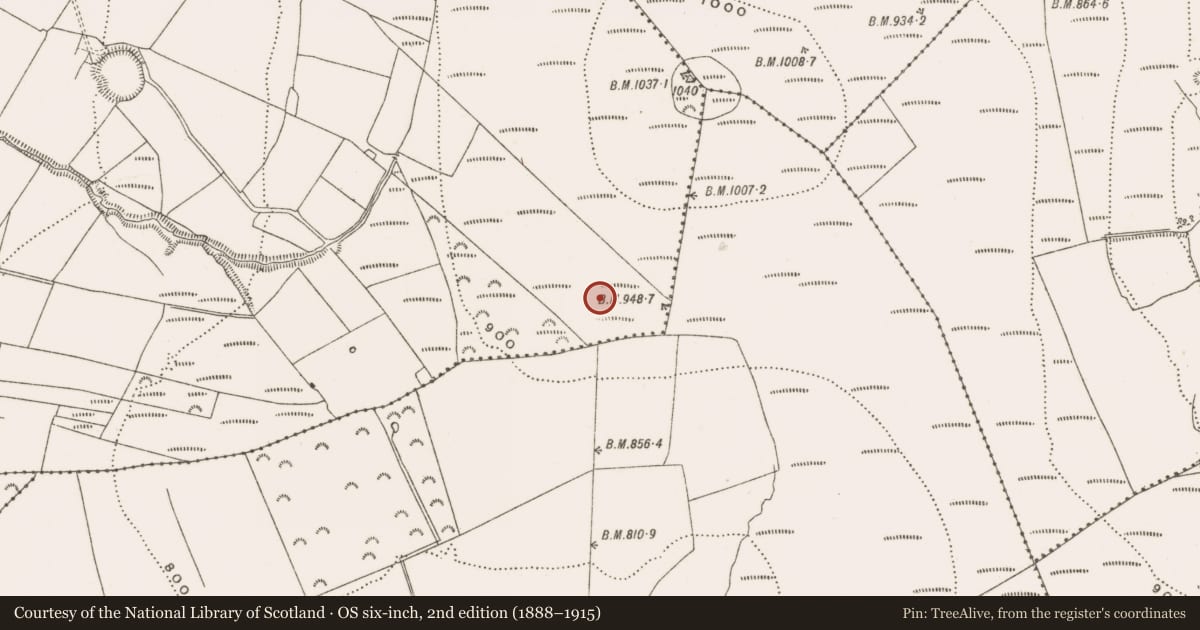 Ordnance Survey six-inch map, 2nd edition (1888–1915) covering the location of Enclosure, Clonlee, County Offaly, with a pin at the register's coordinates